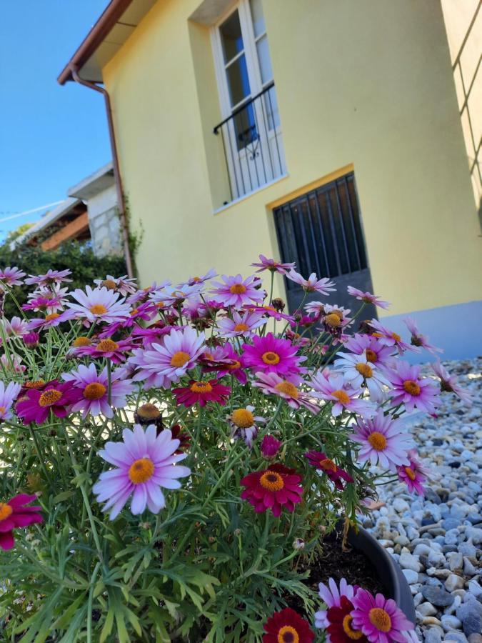 B&B Cà di Bollo Moneglia Esterno foto